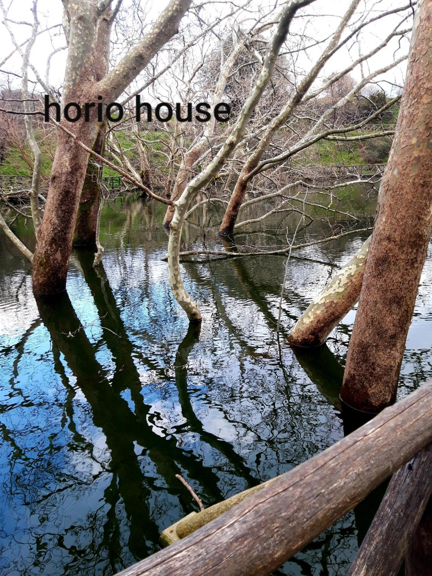 Horio House Villa Limni  Стая снимка